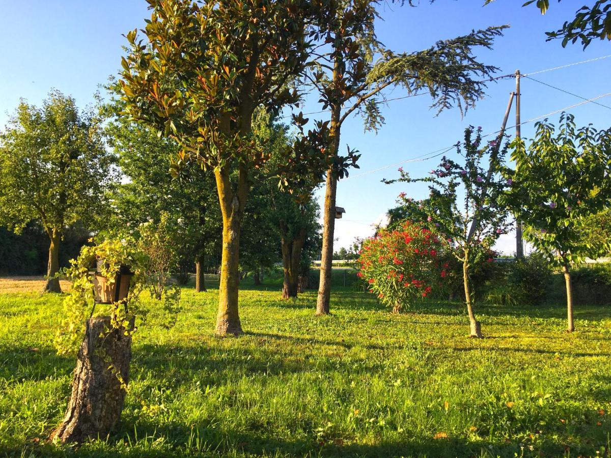 Ca' Rosin Meolo - Camera Tra Relax E Privacy Exterior photo